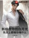 新婚夜你找白月光,我走上巅峰你悔什么?